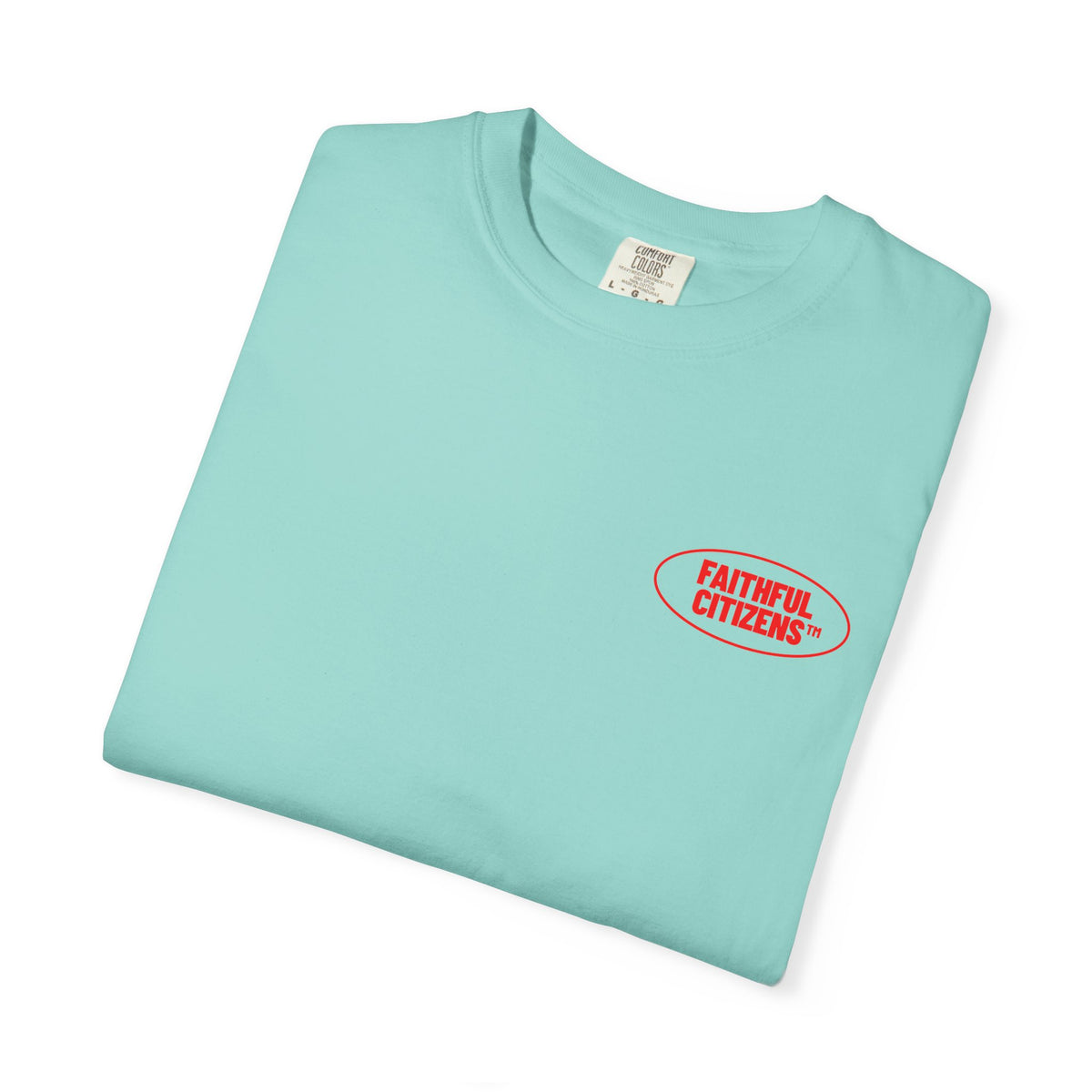 Faithful Citizens Apparel Co Men's T-shirt Lay Down Your Worry I got this Planet Illustration Matthew 11:28 chalky mint